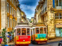 Пазл Парочка