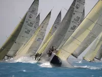 Пазл Парусная регата