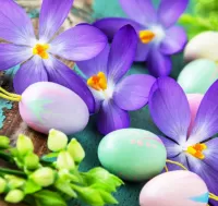 Пазл Пасхальные крокусы