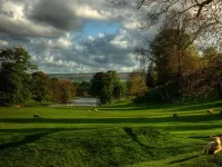 Пазл Пастбище