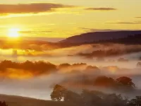 Пазл Пастораль