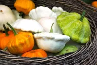 Пазл Патиссоны