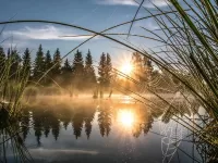 Пазл Паутина