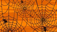 Пазл Паутина