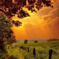 Пазл Пейзаж