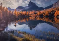 Пазл Пейзаж