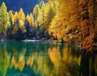 Пазл Пейзаж