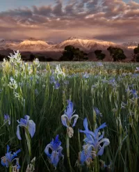 Пазл Пейзаж