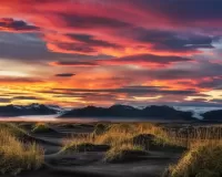 Пазл Пейзаж