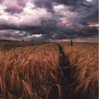 Пазл Перед грозой