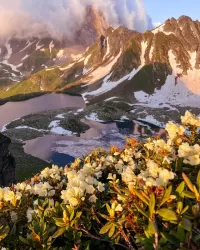 Пазл Перед грозой