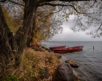 Пазл Озеро в Плещеево 