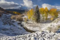 Пазл Первый снег