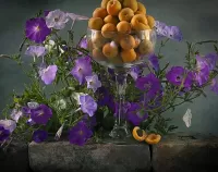 Пазл Петуния и абрикосы 