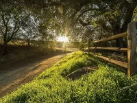 Пазл Пейзаж