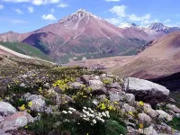 Пазл Пик Советов