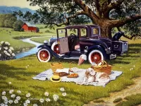 Пазл Пикник 1