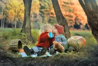 Пазл Пикник