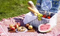 Пазл Пикник на траве