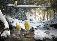 Пазл Пиво прохлаждается