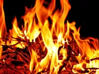 Пазл Пламя костра