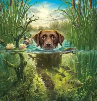 Пазл Пловец