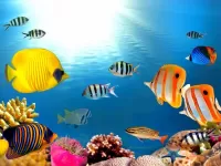 Пазл Подводные жители