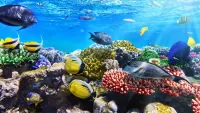Пазл Подводный мир