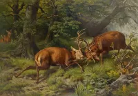 Пазл Поединок