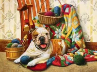 Пазл Пока нет хозяйки