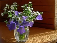 Пазл Полевые цветы