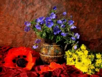 Пазл Полевые цветы