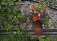 Пазл Полевые цветы