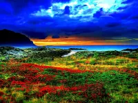 Пазл Поляна