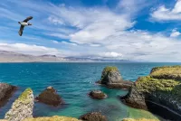 Пазл Полёт над морем