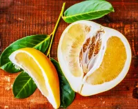 Пазл Помело