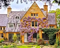 Пазл Поместье Котон