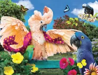 Пазл Попугаи