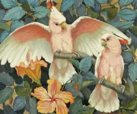 Пазл Попугаи какаду