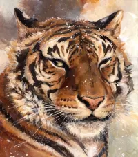 Пазл Тигр