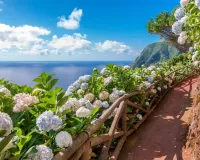 Пазл Португалия