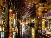 Пазл После дождя