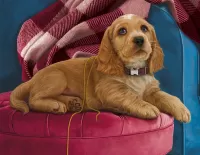 Пазл Послушный щенок