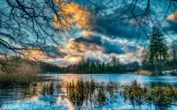 Пазл Поздняя осень