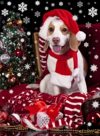 Пазл Поздравление