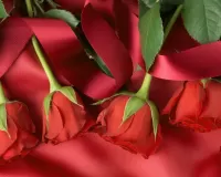 Пазл Поздравление