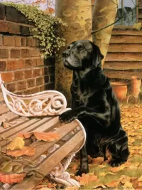 Пазл Преданный друг