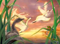 Пазл Прекрасные лебеди