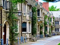 Пазл Принстон