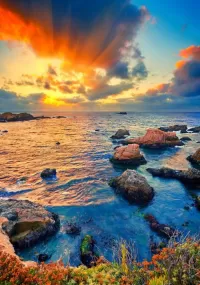 Пазл Природа